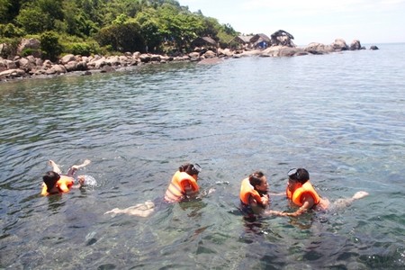 Wonderful coral forest in Son Tra sea